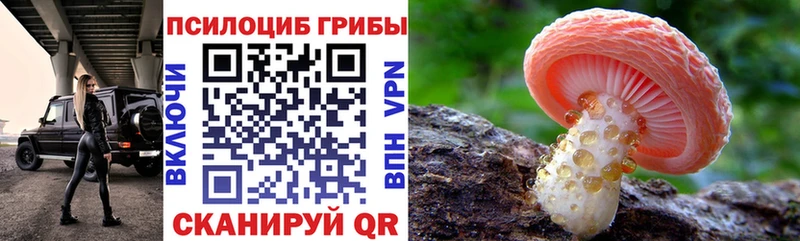 Галлюциногенные грибы MAGIC MUSHROOMS  Любим 